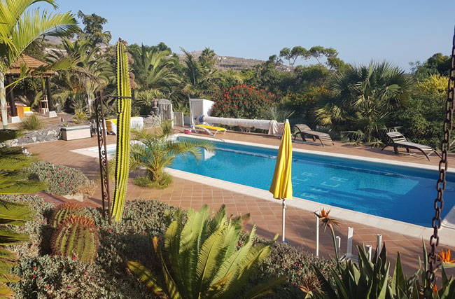 Blick auf einen blauen Pool, umgeben von mediterranen Pflanzen und Kakteen.