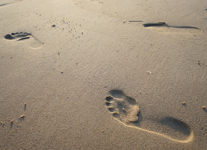 Des traces de pas dans le sable