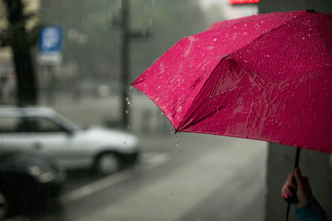 Roter Regenschirm auf nasser Strasse