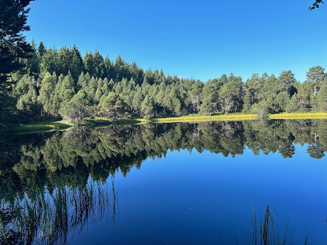 See am Schwarzwald, ein Teilziel am See im Schwarzwald