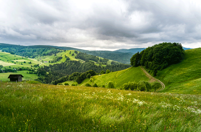 Aussicht von grünen Feldern und Bergen in Todtnau, Schwarzwald mit Hütte und kleinem Weg, welches symbolisch die Anwendung der OKR-Methode zeigen soll