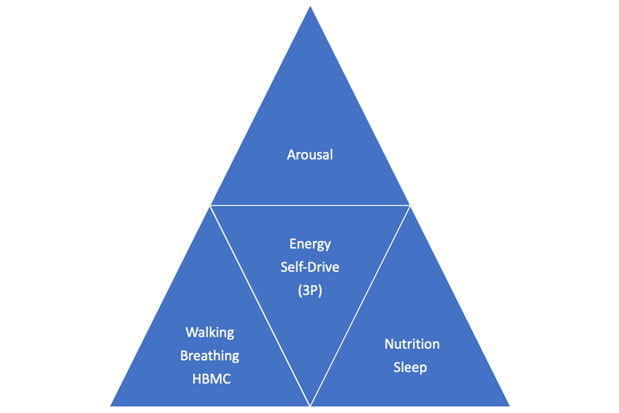 Schema Ara Health 2