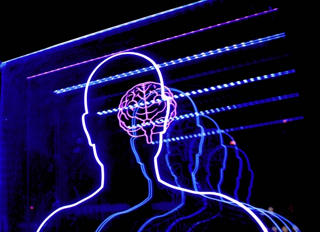 cerveau_unsplash.jpg