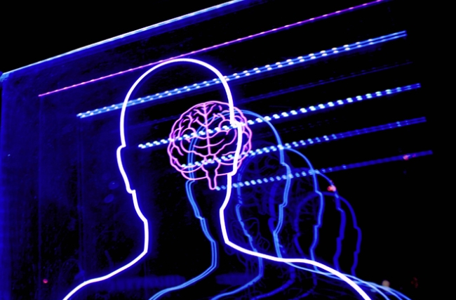 cerveau_unsplash.jpg