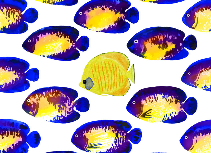 Gelbfarbener Fisch inmitten von violetten Fischen.