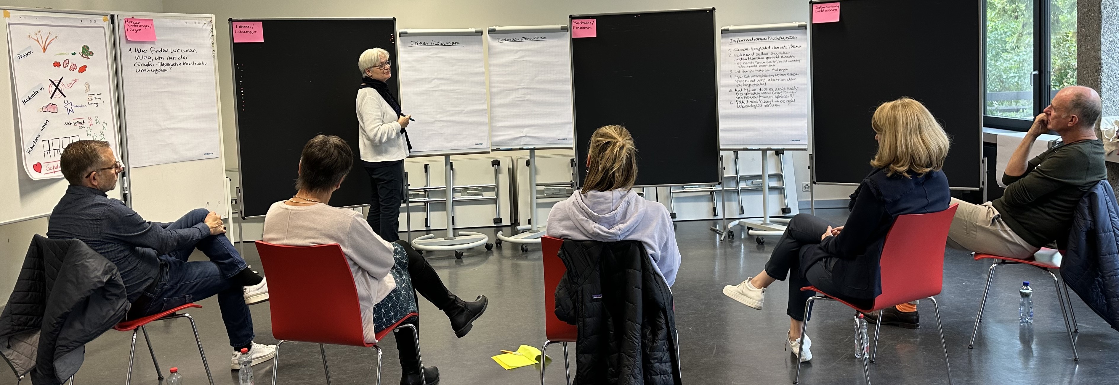Dynamic Facilitation