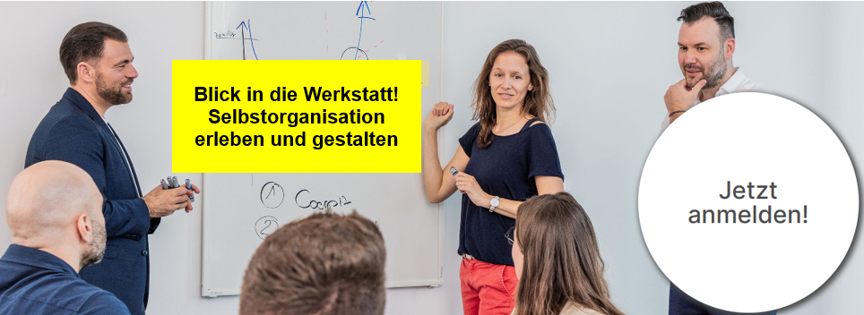 FHNW Selbstorganisation