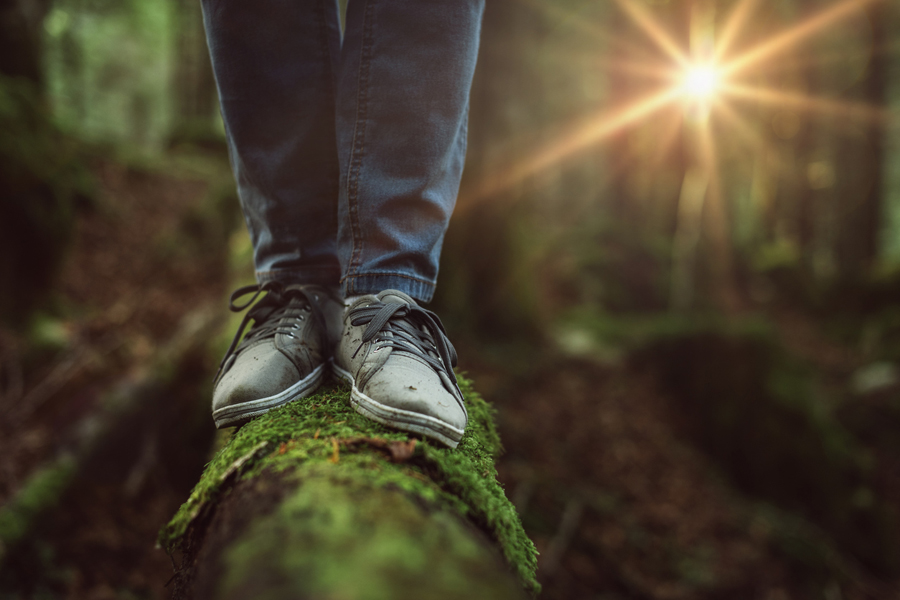 Une femme marche sur un tronc dans une forêt