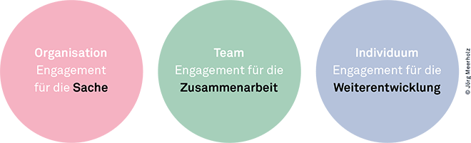 bild-article.png