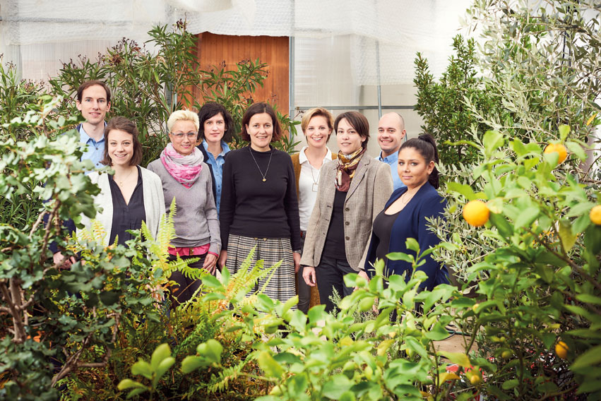 50_HR-Team-Weleda.jpg