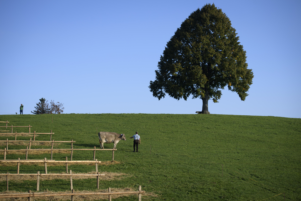 Agriculteur.JPG