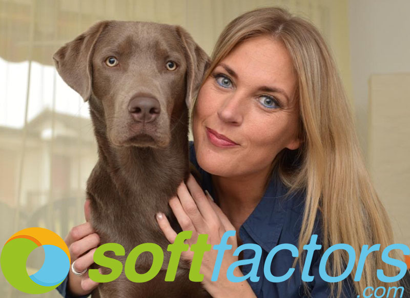 Artikelbild_Softfactors_web.jpg