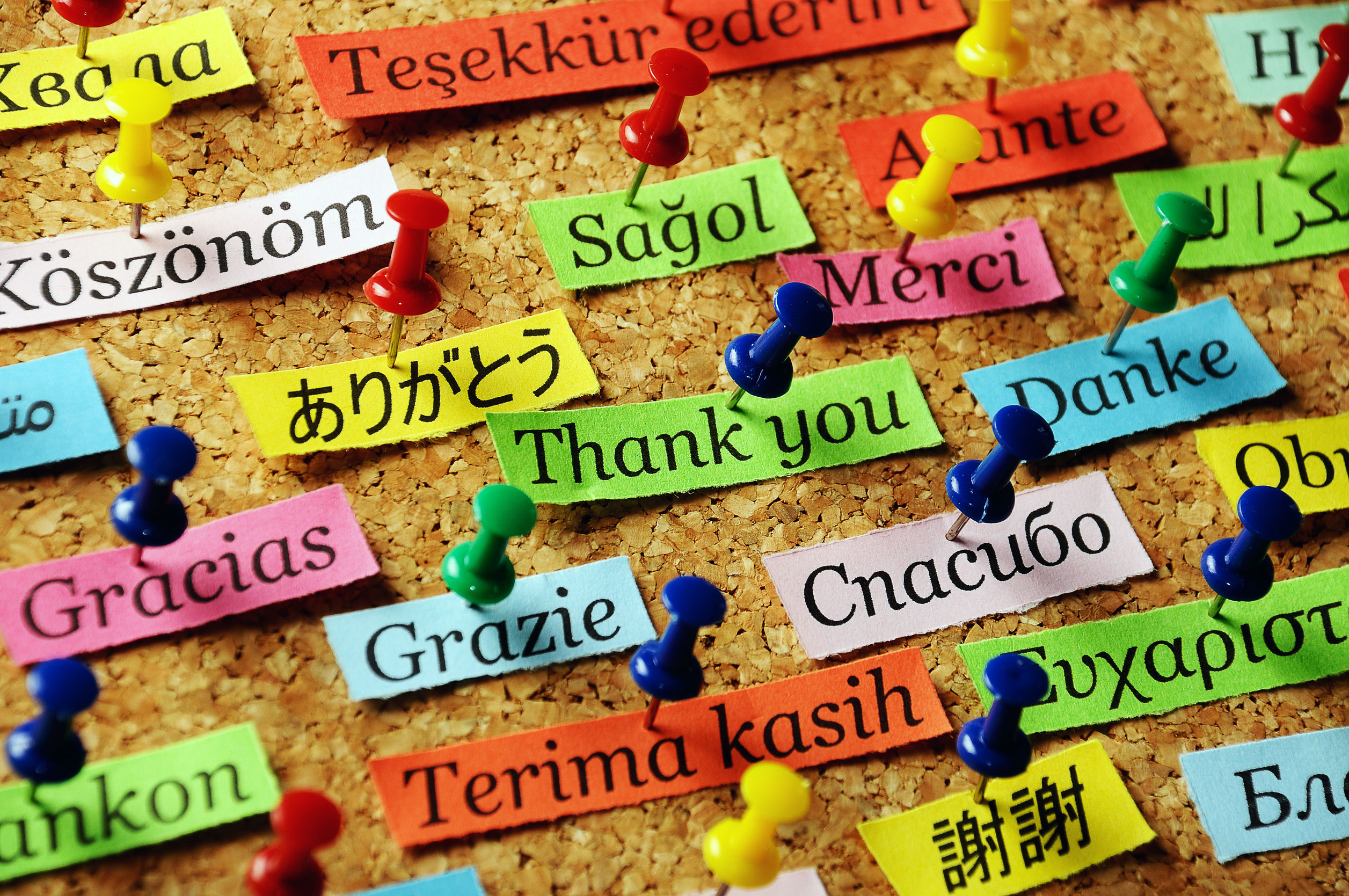 Langues.jpg