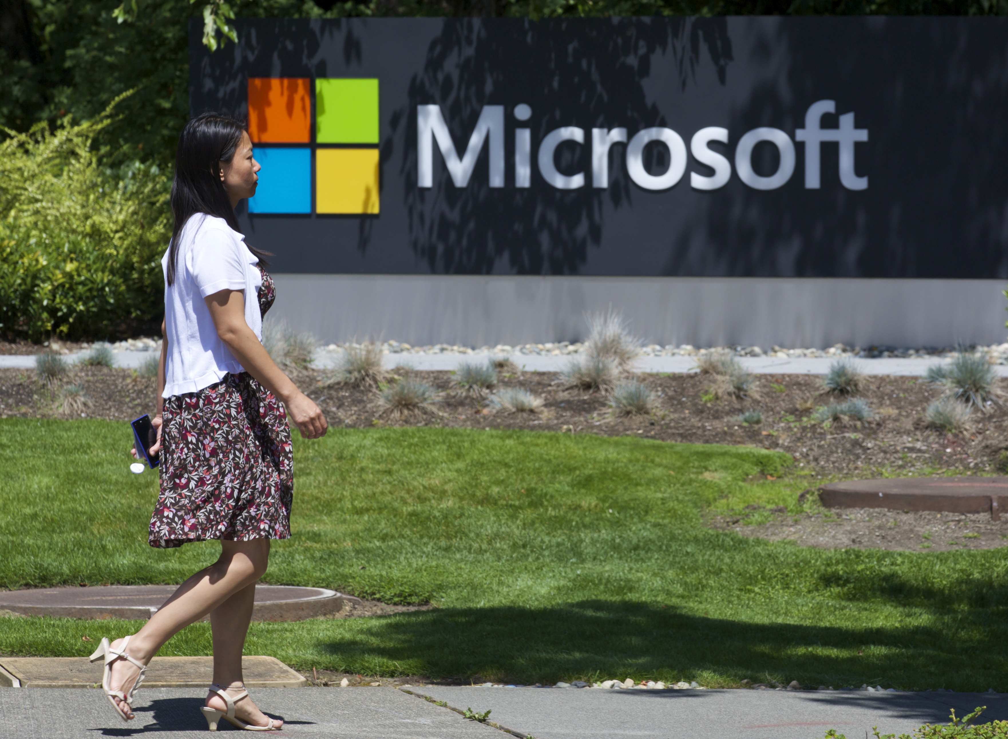Microsoft.jpg