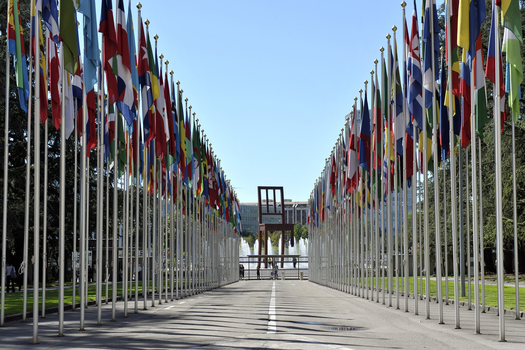 ONU.JPG