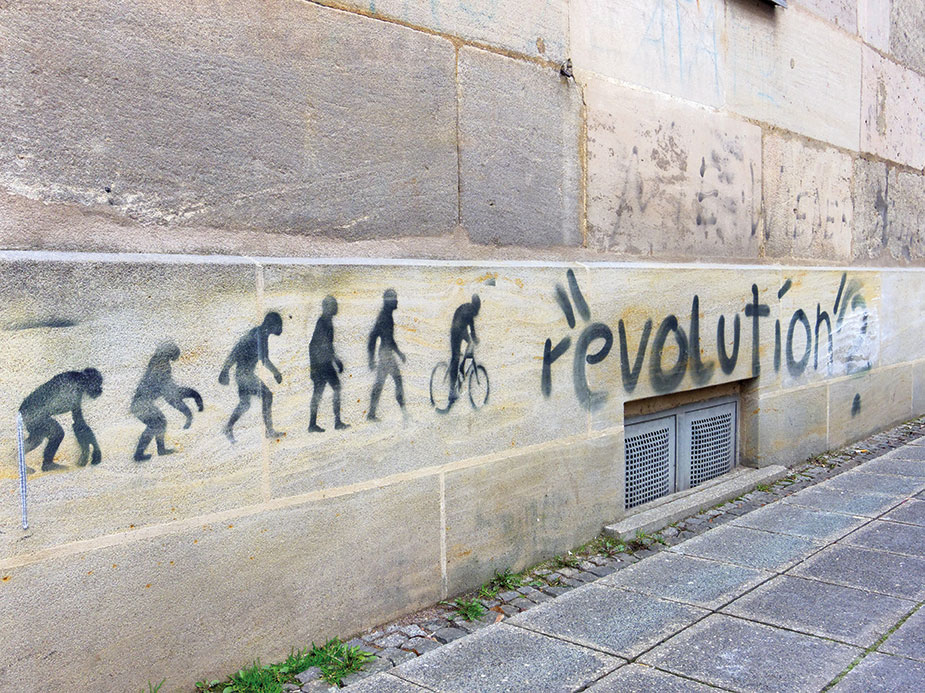 S.19_Revolution-6_2014.jpg