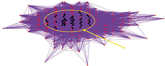 S.33_Grafik-Netzwerk-05_08.jpg