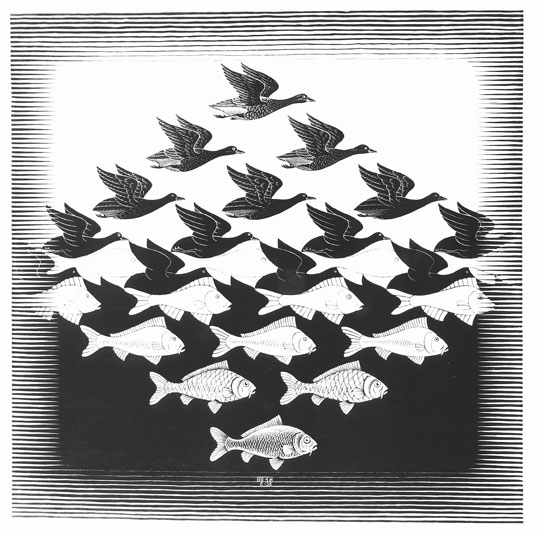 S.48_Fisch+Vogel-04_09.jpg
