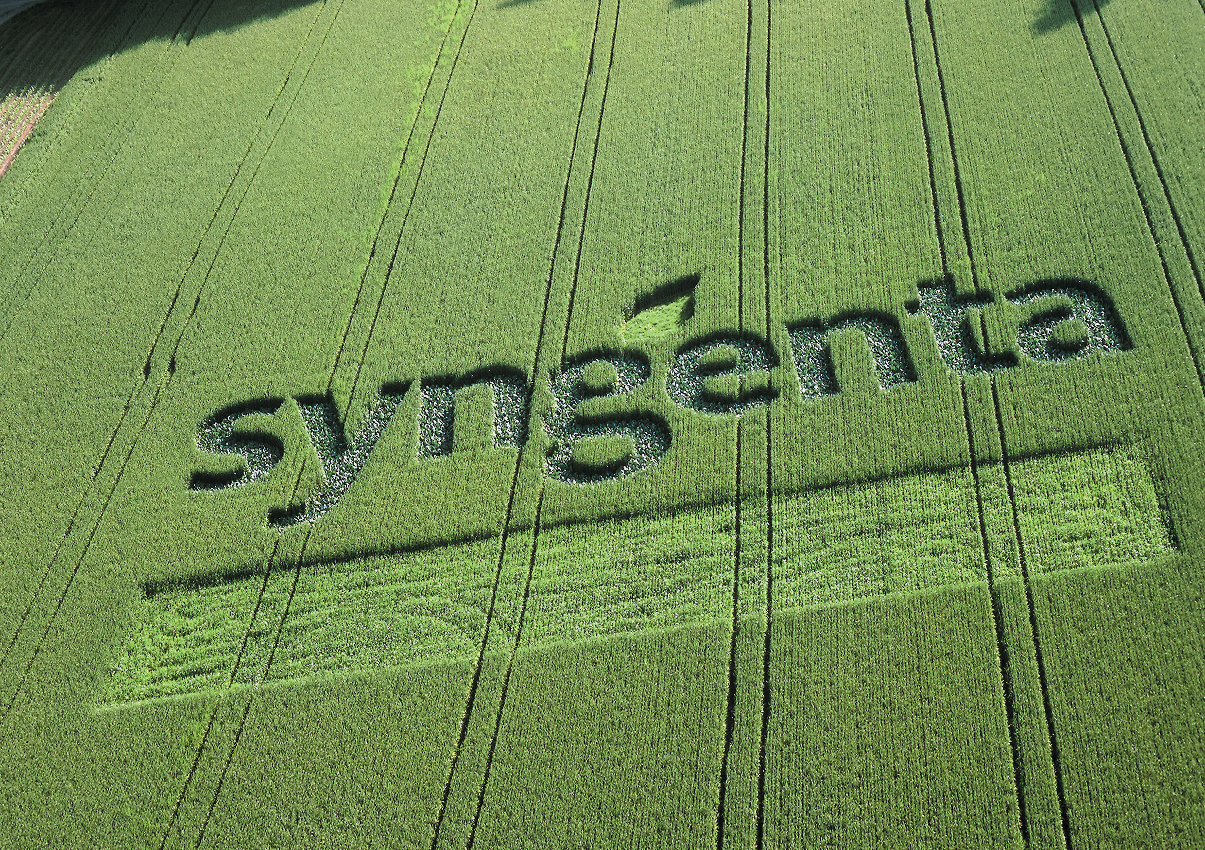 Syngenta.jpeg