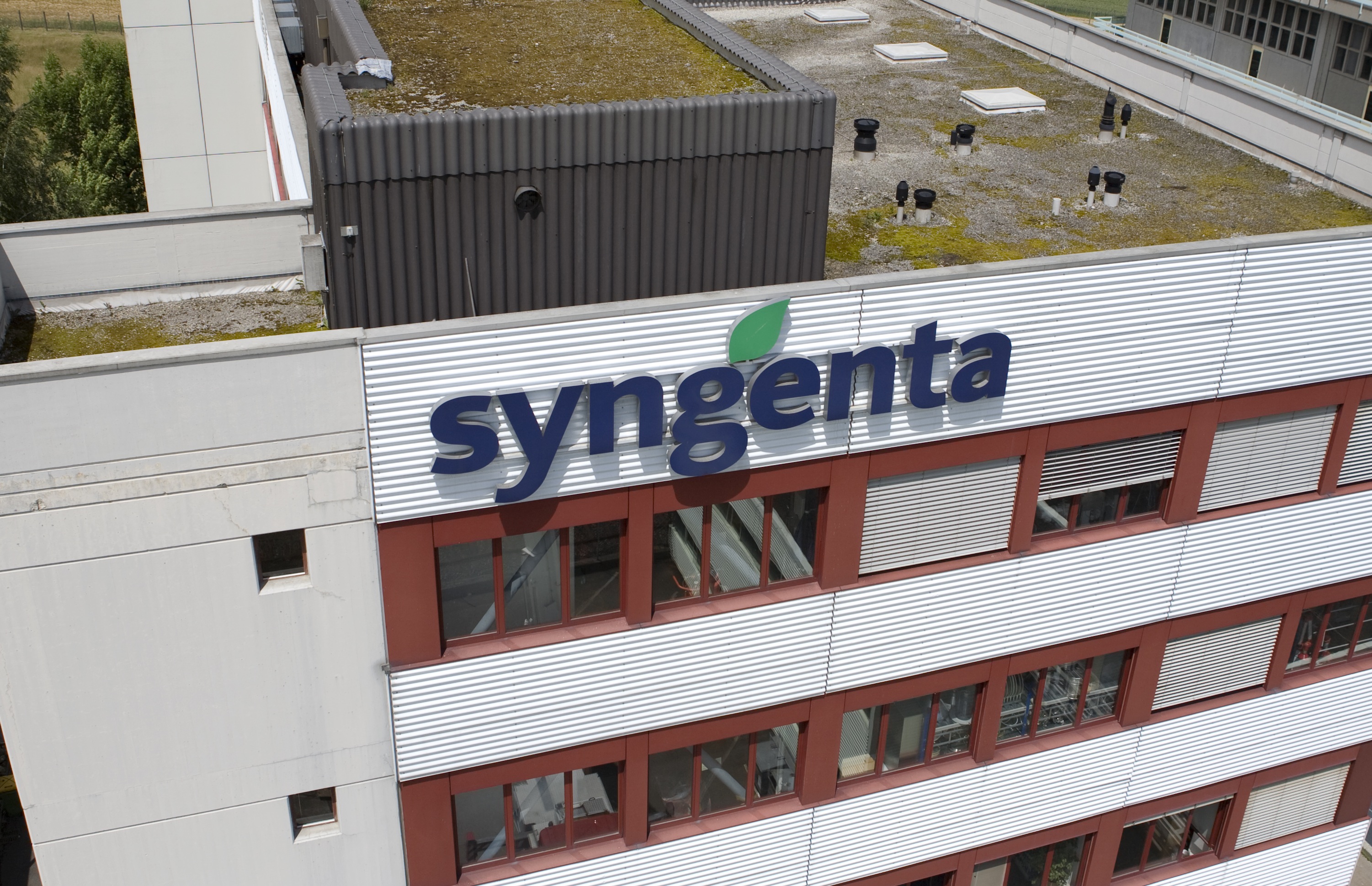 Syngenta.jpeg