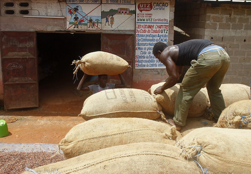 Travailleur africain.jpeg
