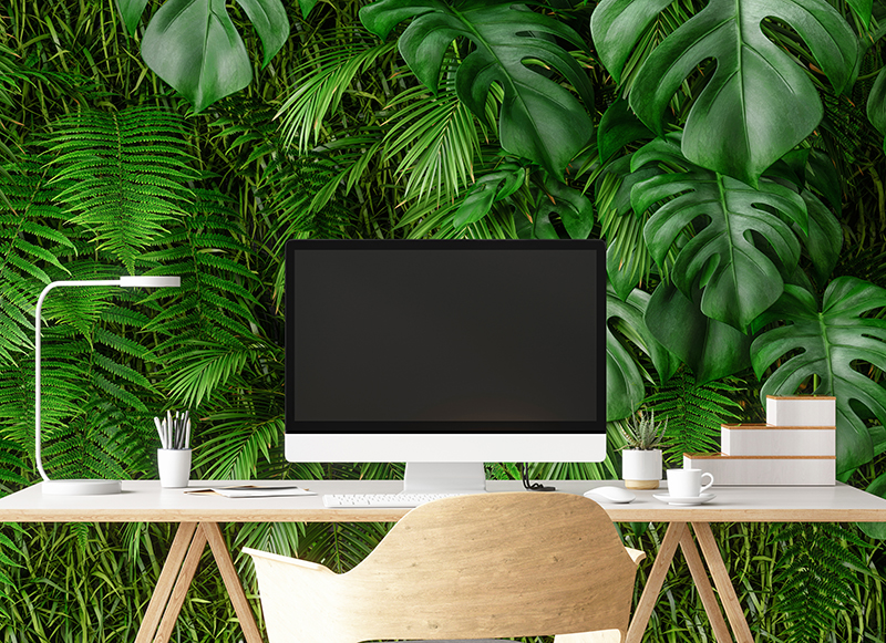 iStock-1250732299.jpg