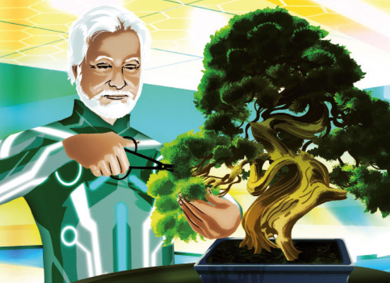 swissstaffing-bonsai.jpg