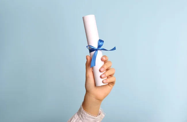 Professional Bachelor und Master