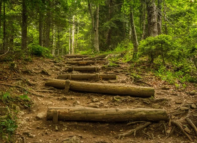 Photo: John Thomas / Unsplash