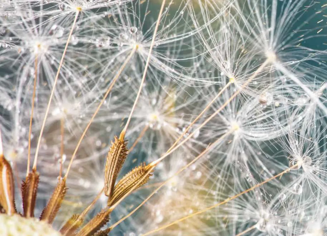 Photo: iStock