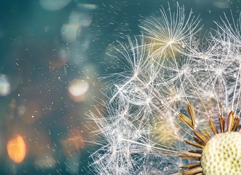 iStock