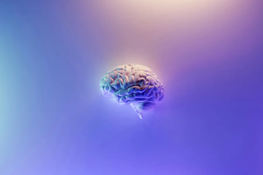 Une image 3D d'un cerveau