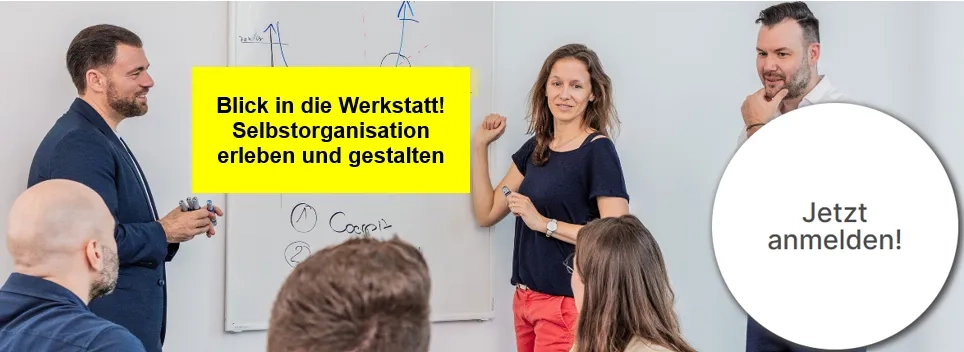 FHNW Selbstorganisation