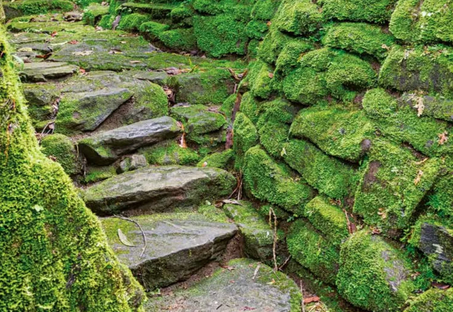 Capture d’écran 2021-01-28 à 13.03.25.png