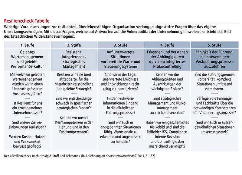 Resilienzcheck_Tabelle_web.jpg