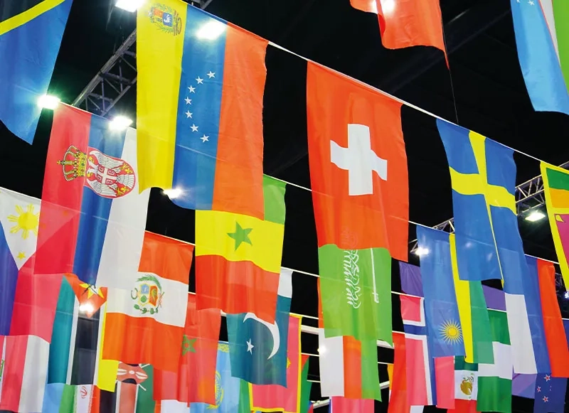 Flaggenwald_web.jpg