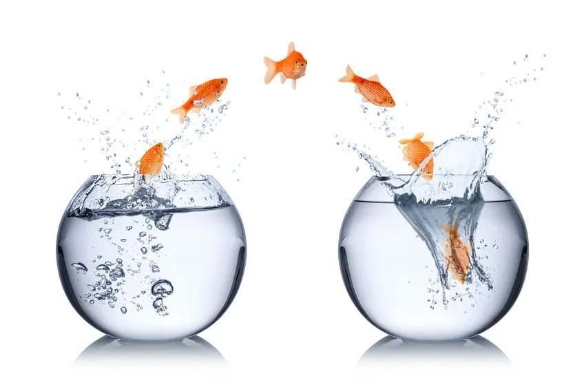 Poissons.jpg