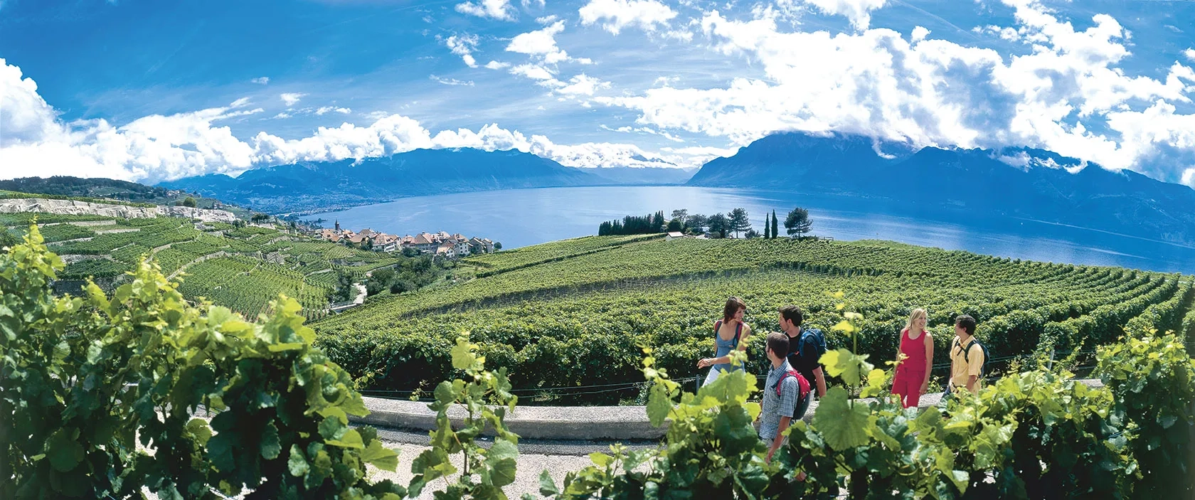 S.34_riviera-vaudoise-3_2015.jpg