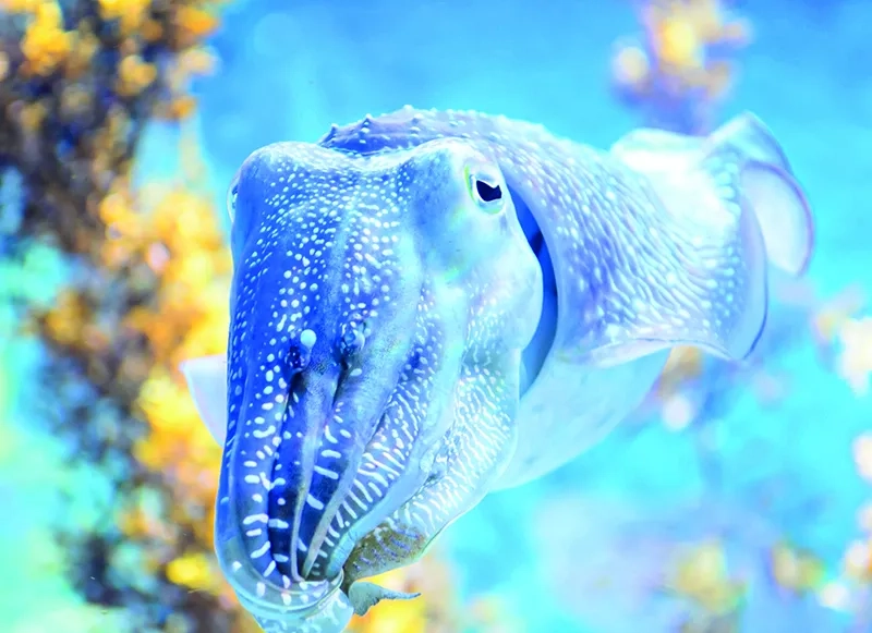 iStock-480930325_cmyk.jpg
