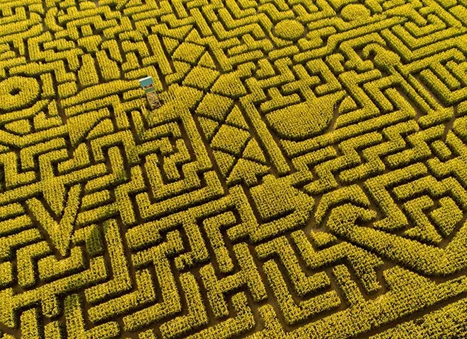 iStock-1010978026_.jpg
