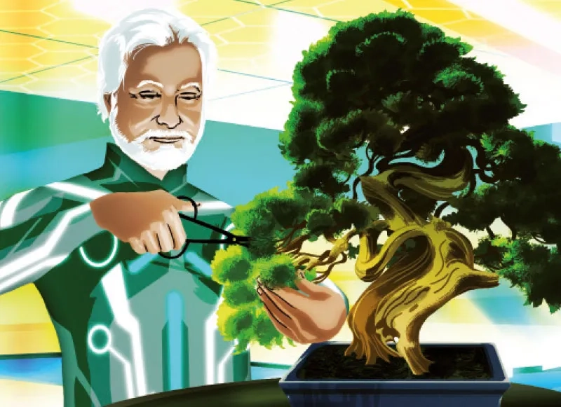 swissstaffing-bonsai.jpg