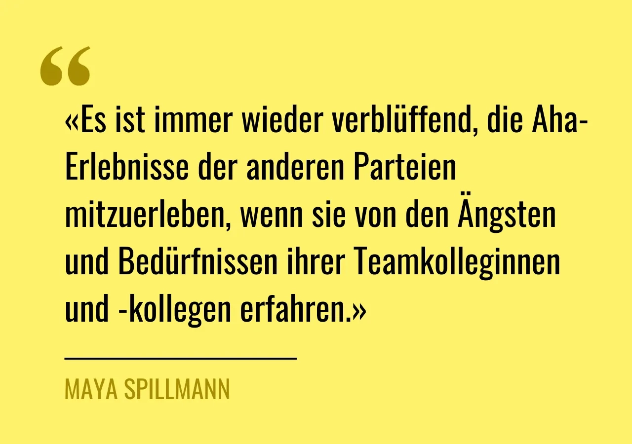 Zitat von Maya Spillmann: «Es ist immer wieder verblüffend, die Aha-Erlebnisse der anderen Parteien mitzuerleben, wenn sie von den Ängsten und Bedürfnissen ihrer Teamkolleginnen und -kollegen erfahren.»