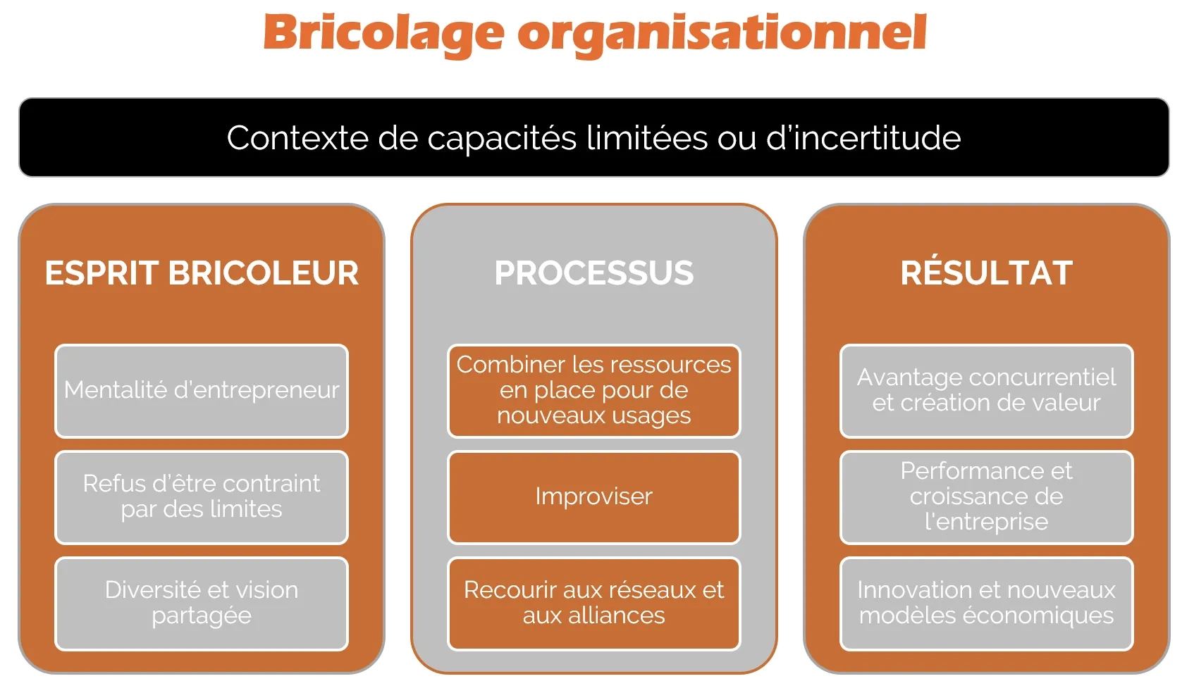 Schéma bricolage organisationnel